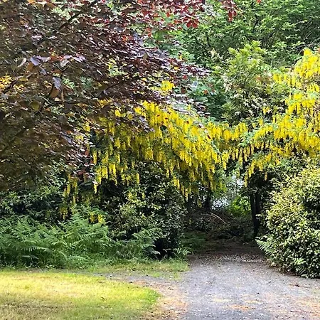 Дом отдыха Lough Sillan Lakeside Shercock