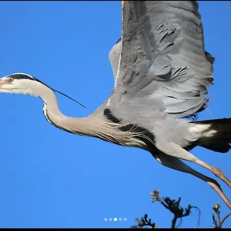 Lough Sillan Lakeside *