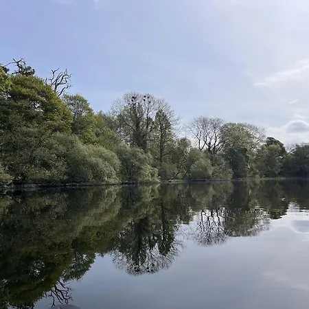 Lough Sillan Lakeside