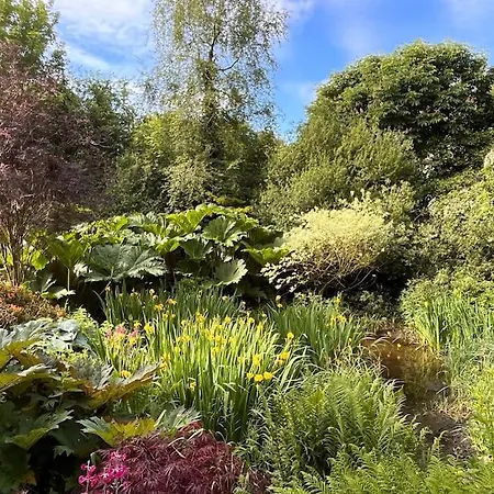 Lough Sillan Lakeside