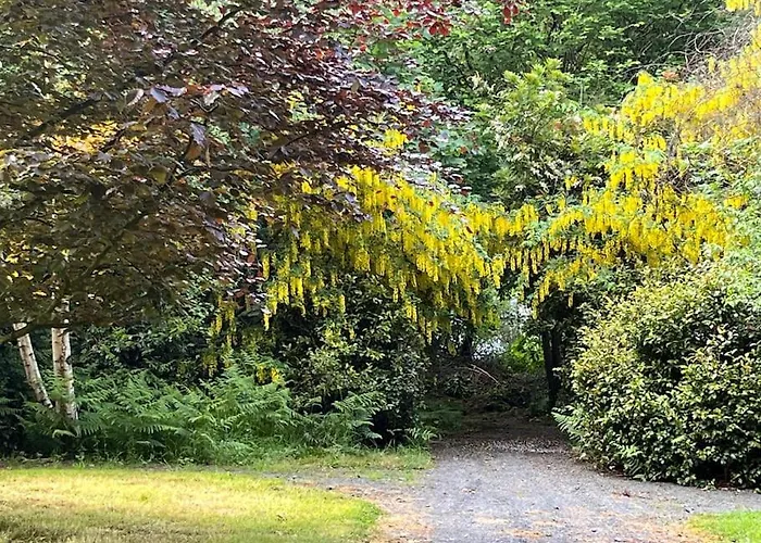 Prázdninový dům Lough Sillan Lakeside Shercock