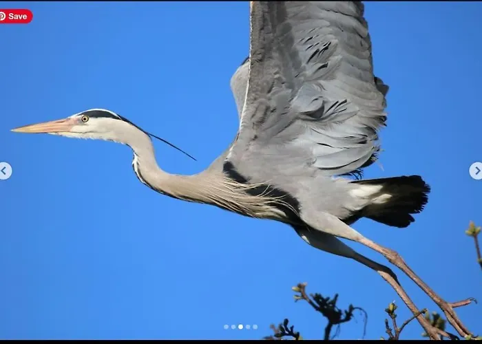 Lough Sillan Lakeside *
