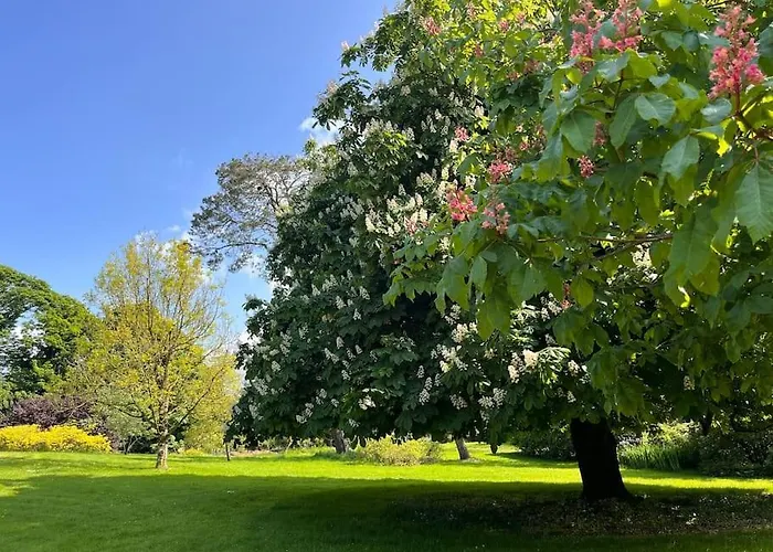 Lough Sillan Lakeside * Shercock