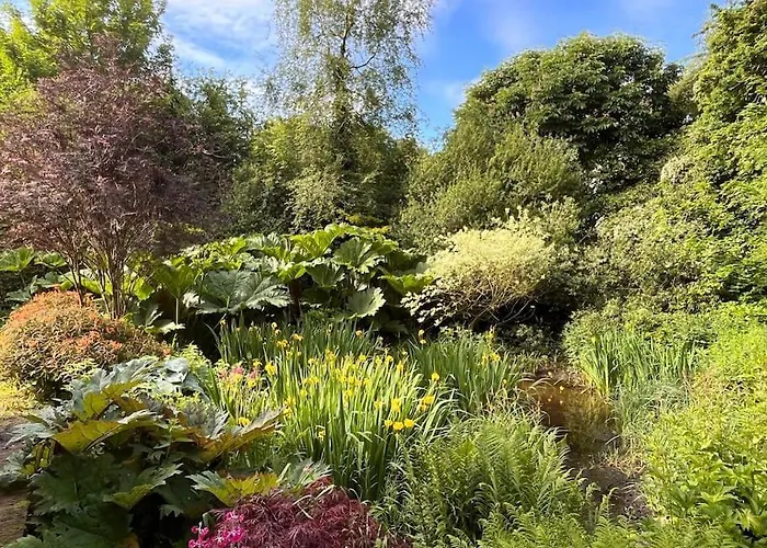 Lough Sillan Lakeside